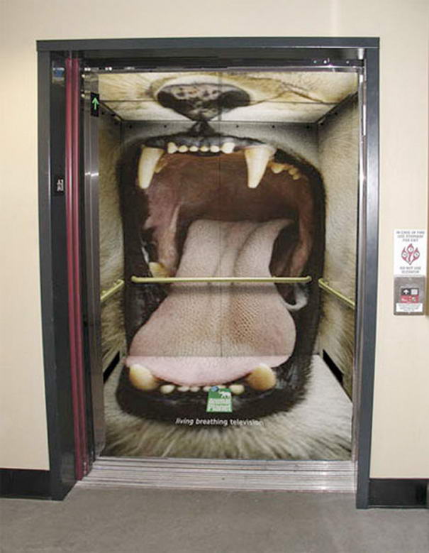 PUBLICIDAD ANIMAL PLANET