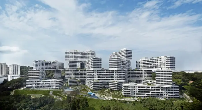 The Interlace
